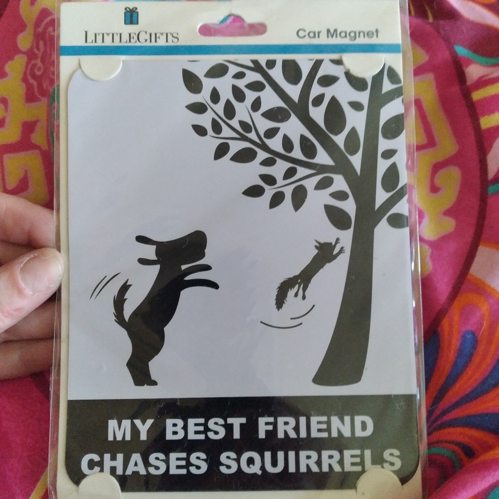 Car magnet "  My best friend chases Squirrels."